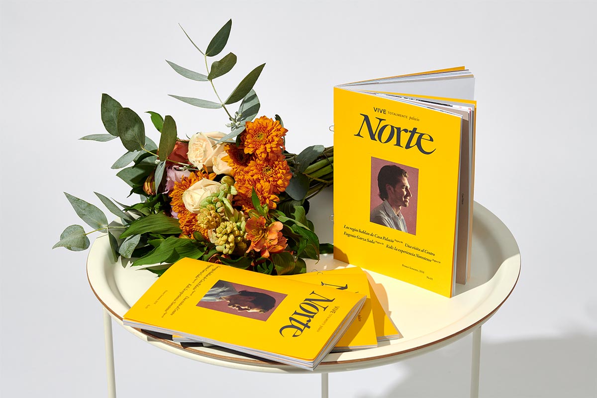 Read more about the article “Norte” – The book was sold with the biggest edition
